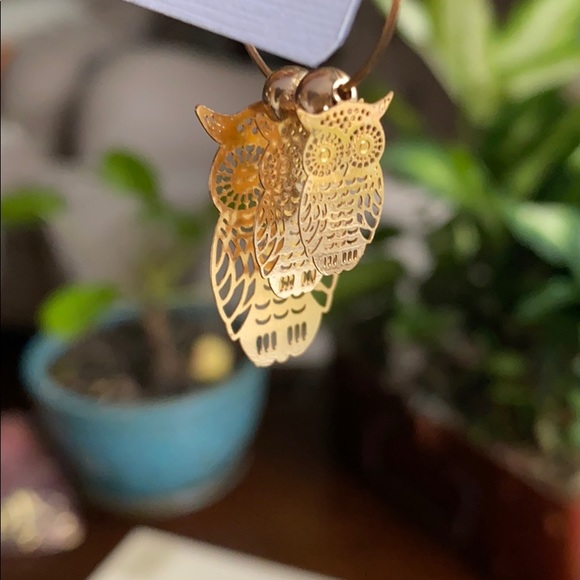 NWT- Owl Earrings - Picture 3 of 5